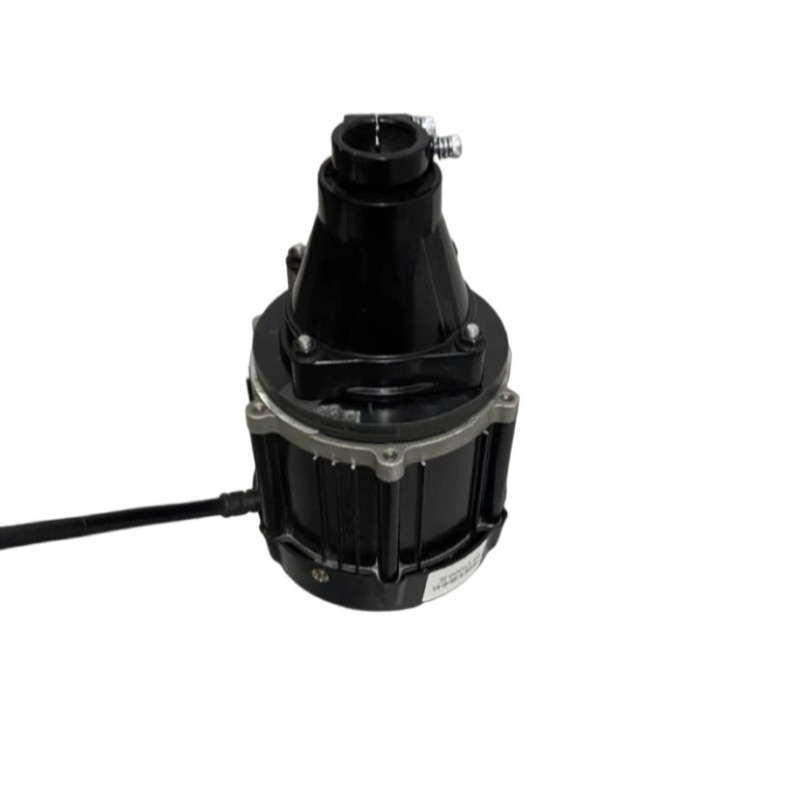 Motore Fuoribordo Brushless 12 - Fishing Boat Paddle recensione e prezzo